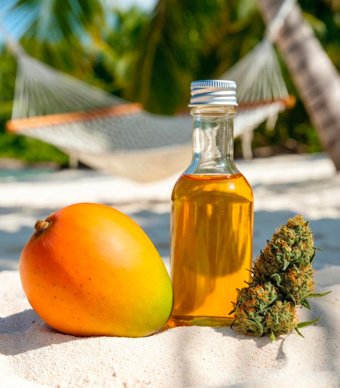Why Myrcene + Mango + Coconut Is the Greatest Love Story in Cannabis