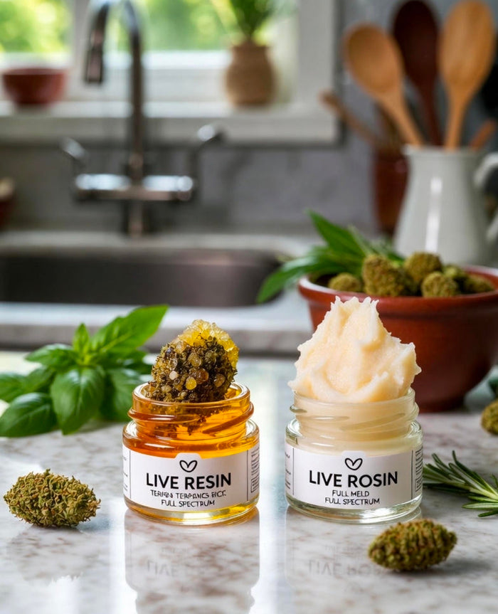 Live Resin vs Live Rosin in Edibles Showdown
