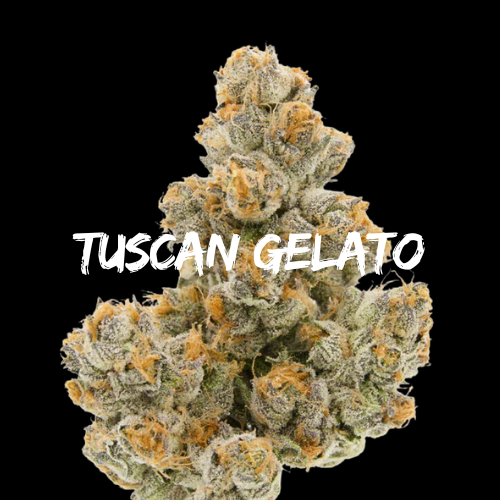 Tuscan Gelato: Strain of the Week