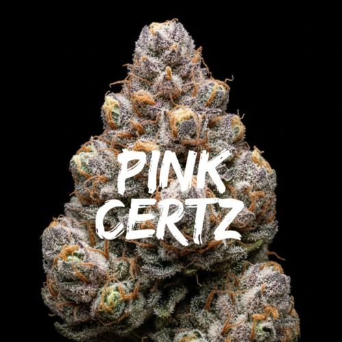 Pink Certz: Strain of the Week