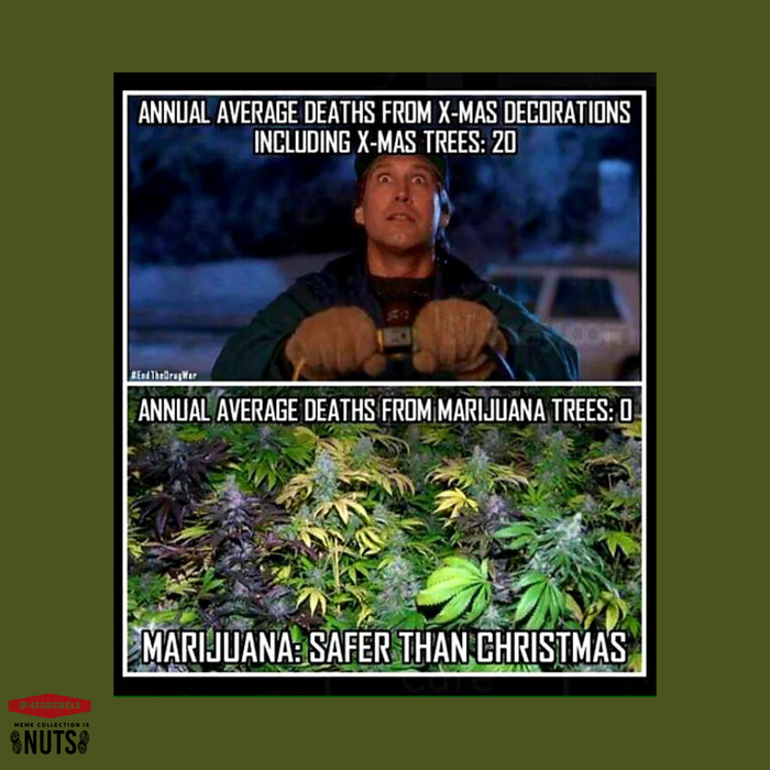 Meme of the Week: “Safer Than Christmas” 🎄🔥🌿