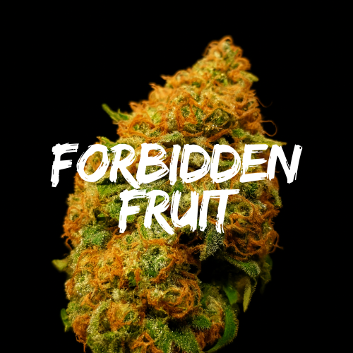 Forbidden Fruit: Strain of the Week