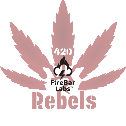 FireBar Labs: Innovation Meets Discretion